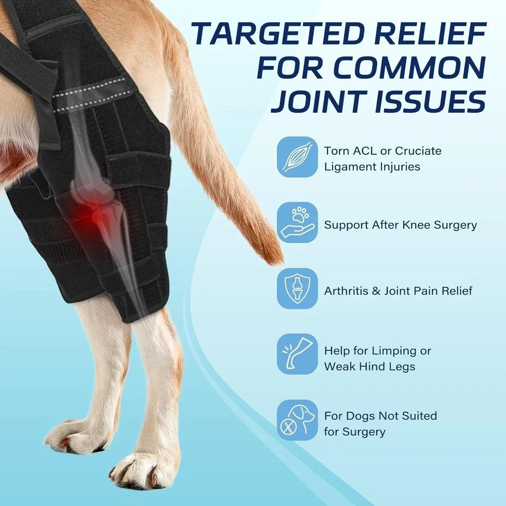 Adjustable Dog Knee Brace for Back Leg Injuries ACL-CCL Support Size XXL